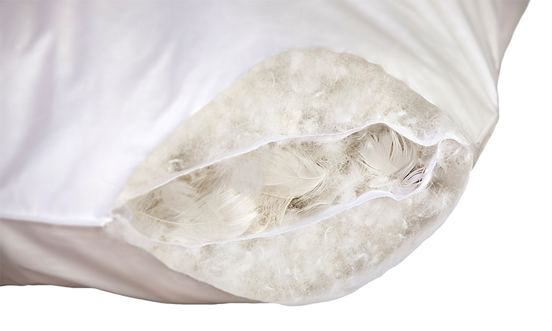 Remplissage: duvet et des plumes