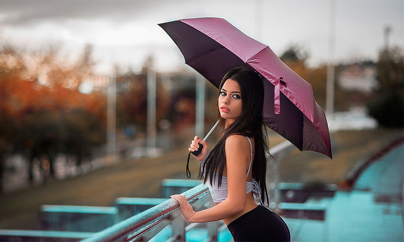 Coût des parapluies
