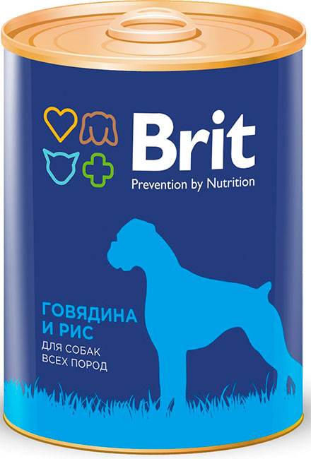 Brit