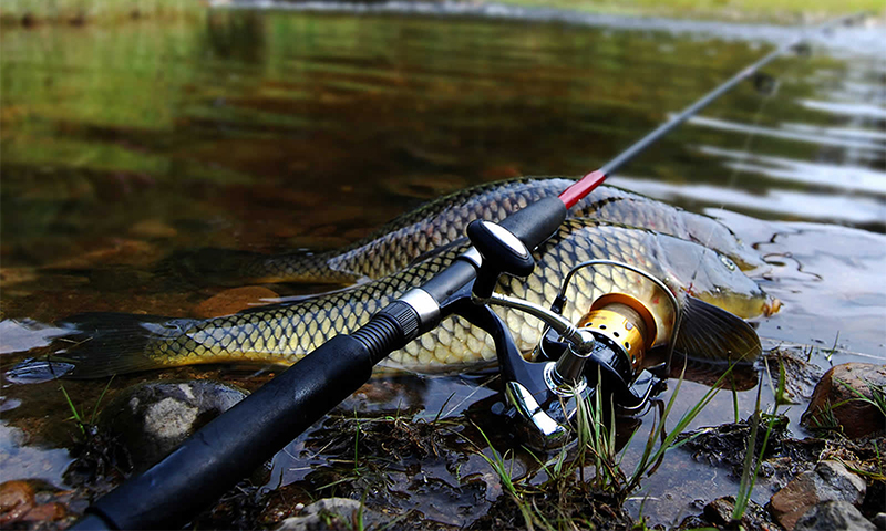 Feeder Rod Auswahlparameter