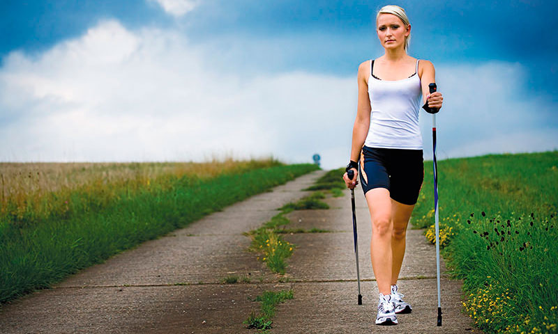 Welche Nordic Walking Stöcke zur Auswahl