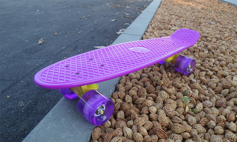 כמה הוא plastboard
