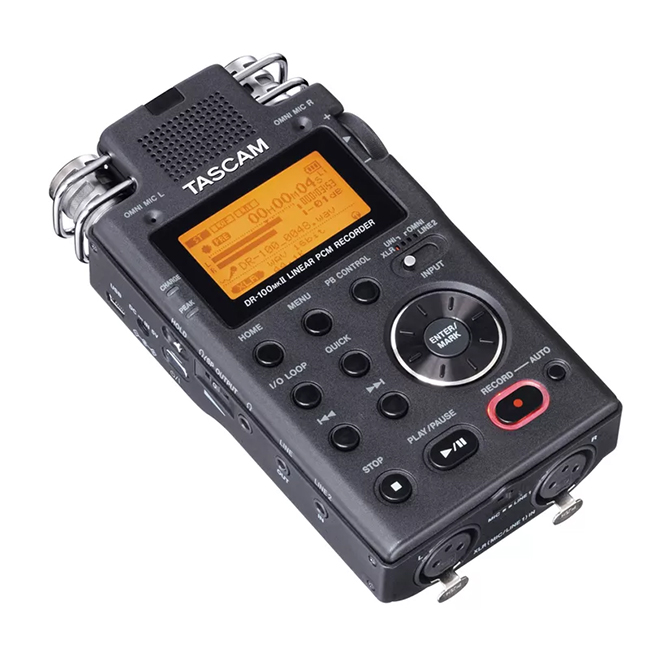 TASCAM DR-100 MKII - die Fähigkeit, eine Vielzahl von Materialien aufzunehmen